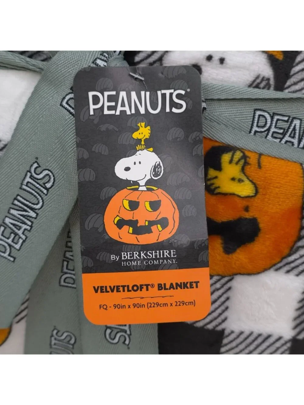 Peanuts Halloween VelvetLoft Queen Blanket 90